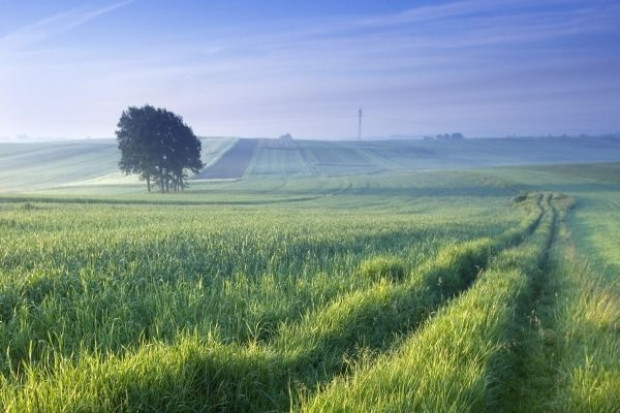 fot. fotolia Nie będzie równych dopłat