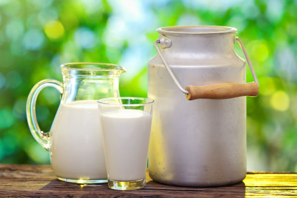 Broś: branża mleczarska liczy na pomoc Unii Europejskiej