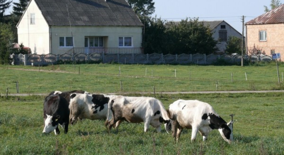 Przyznano prawie 6.200 rent strukturalnych