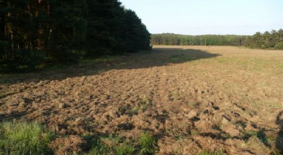 Ceny gruntów rolnych przestały rosnąć
