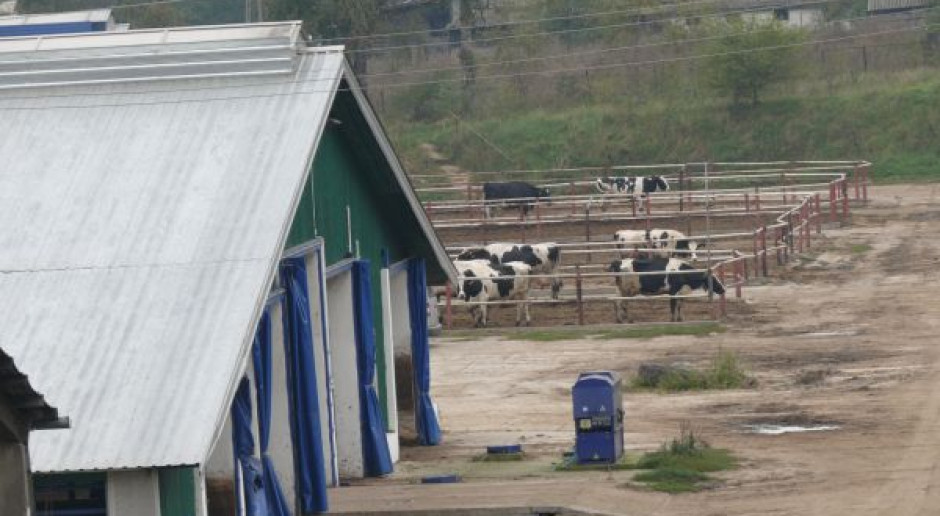 Rolnik - Farmer Roku 2010