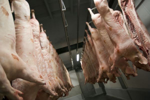 Mięso z Niemiec jest badane na EHEC