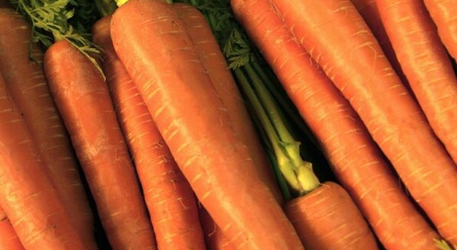 Rosja: nie będziemy kierowali się "beztroską" w imporcie warzyw z UE