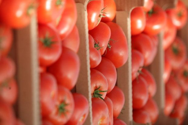 fot.PTWP KE: Rosja znosi embargo na import warzyw z Europy