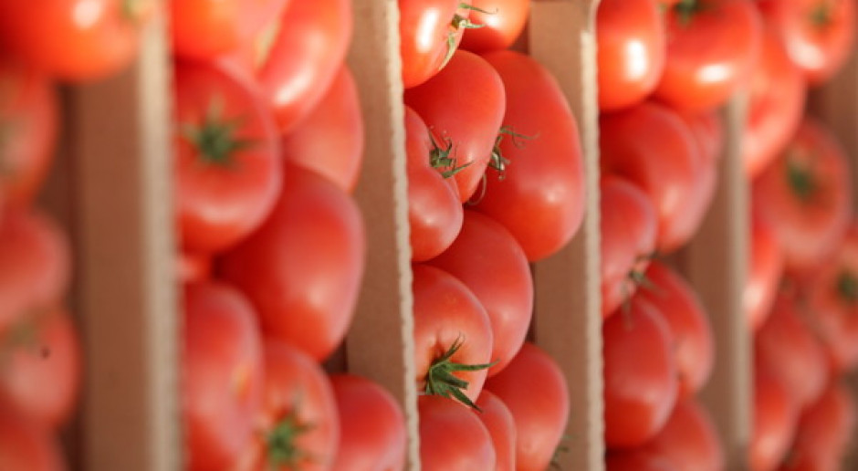 KE: Rosja znosi embargo na import warzyw z Europy 