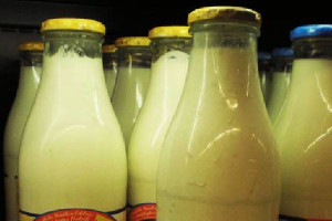 Rosja chce podwyższyć cła importowe na produkty mleczarskie