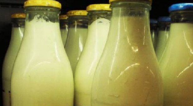 Rosja chce podwyższyć cła importowe na produkty mleczarskie