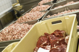 Wzrost eksportu wołowiny z Europy wpływa na ceny skupu