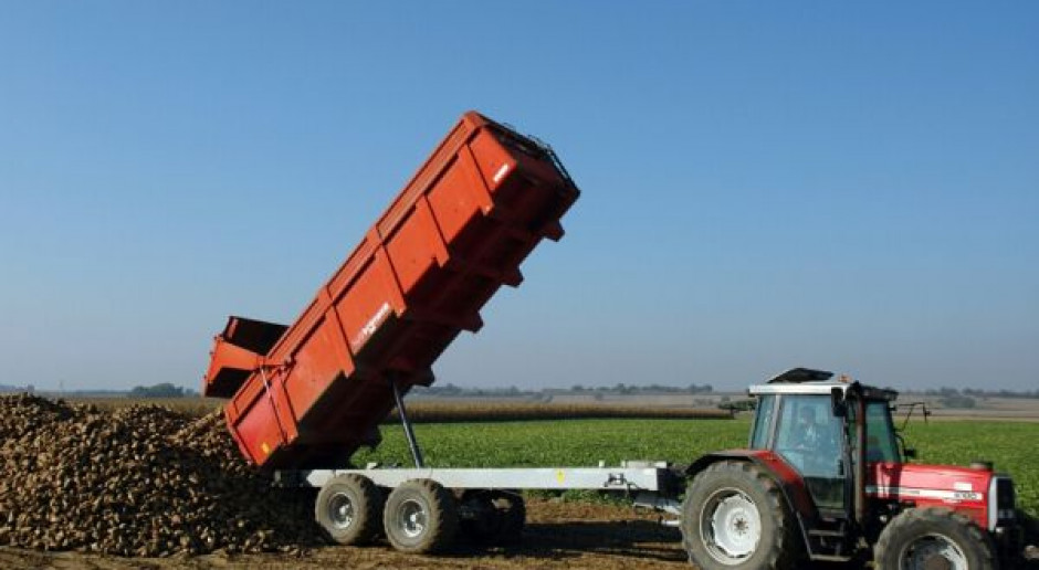 Niekorzystne umowy dla plantatorów buraków
