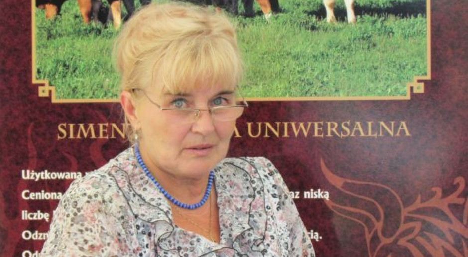 Choroszy: Są prezydspozycje do produkcji wołowiny kulinarnej