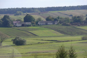 Sejm przyjął nowelę ustawy o nieruchomościach rolnych