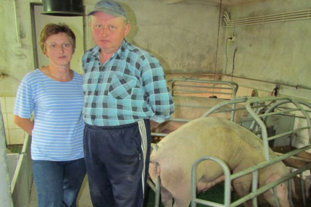 Agnieszka i Alfred Ciszewiczowie Wieprzowy dramat