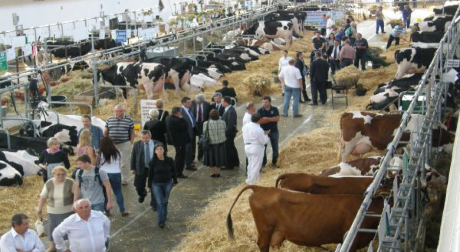 Coraz więcej podmiotów wspiera finansowo ocenę użytkowości
