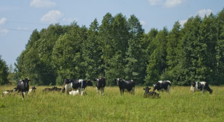 Dyskryminowani właściciele działek Natura 2000
