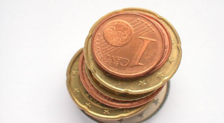 Rząd celowo zaniża kurs euro, żeby zmniejszyć dopłaty