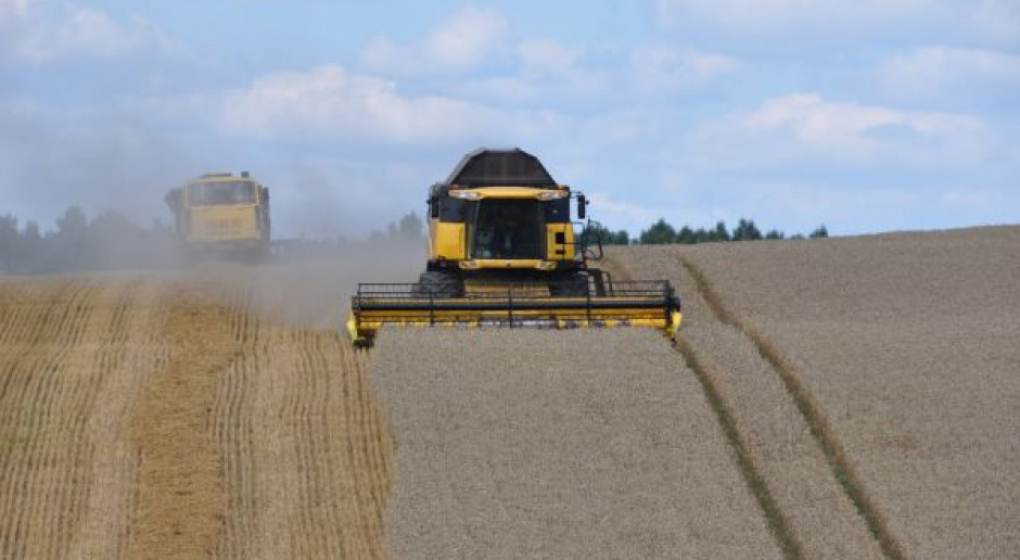 Strategie Grains podwyższyła szacunek zbiorów zbóż w UE