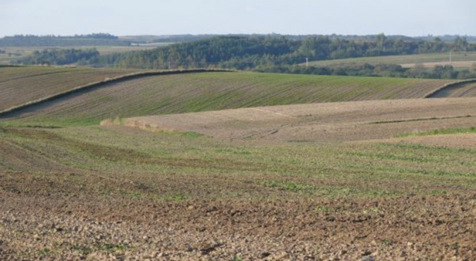 Kujawsko-pomorskie: Największa susza od 140 lat
