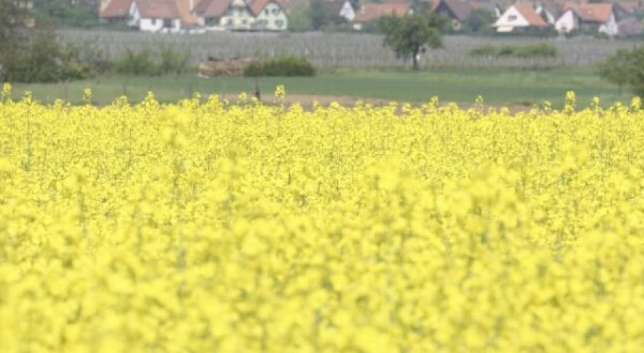 Expose premiera, konieczne są zmiany kompleksowe