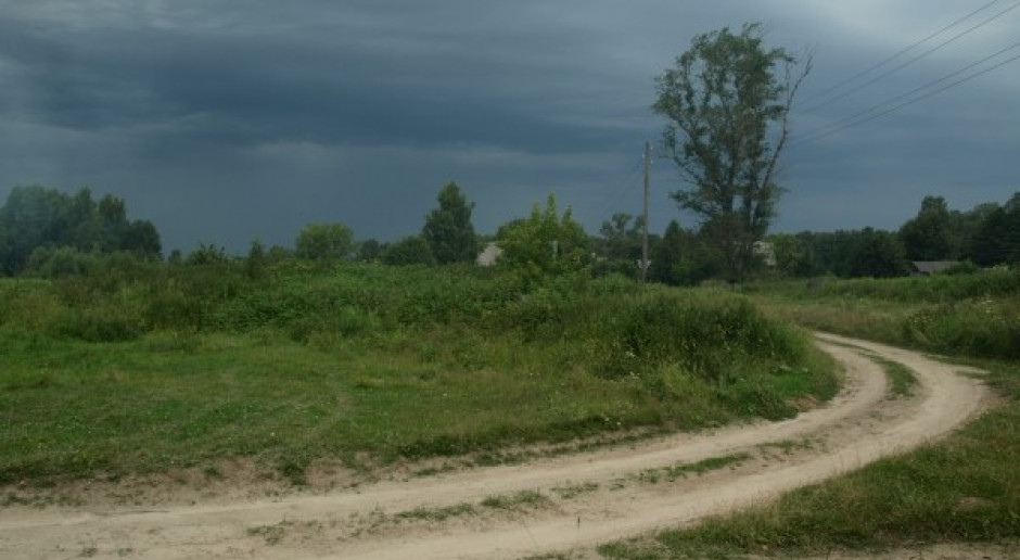 „Zazielenienie” na cenzurowanym