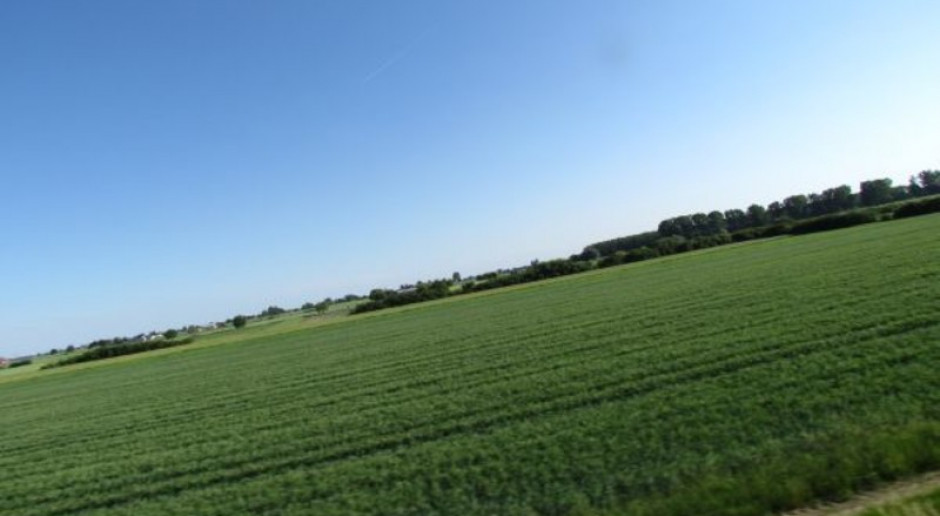 Podatek rolny ma być niższy