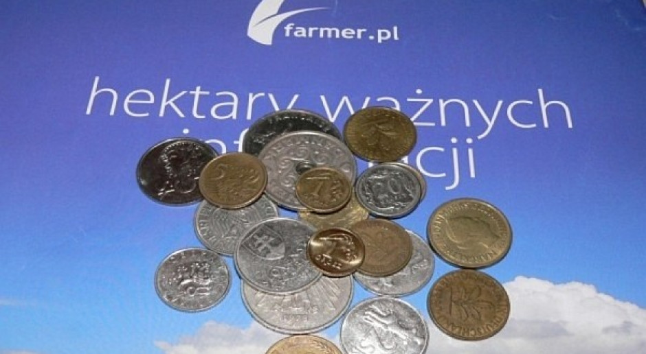 Mocny złoty fatalny dla rolników