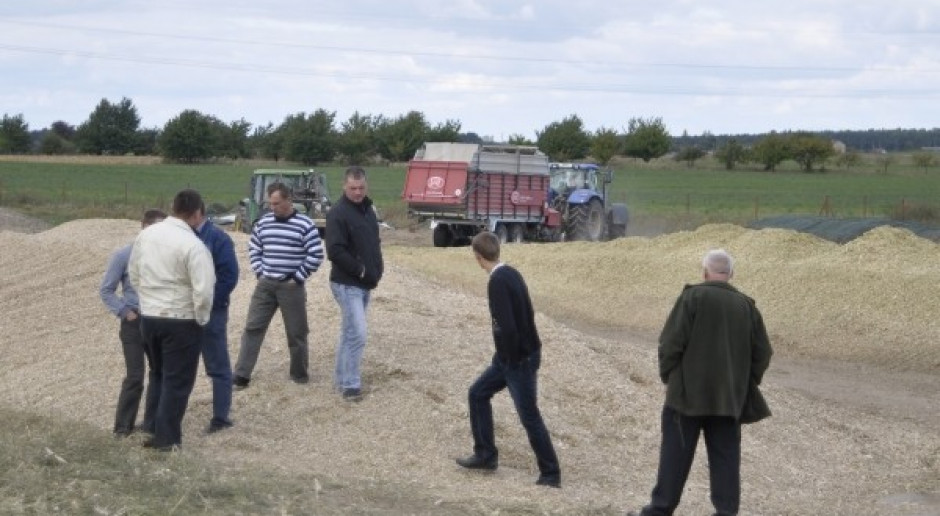 Mentalność – największy problem powstawania grup