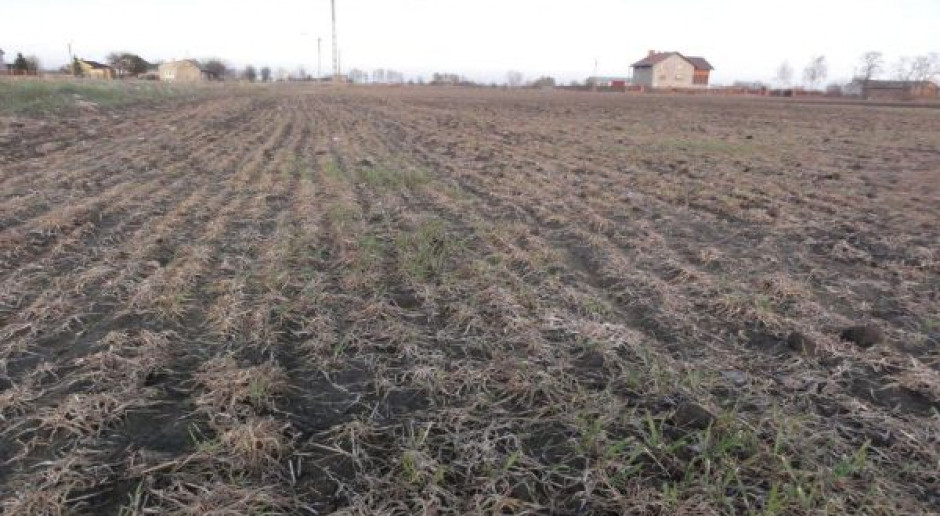Apel do rządu o podjęcie działań