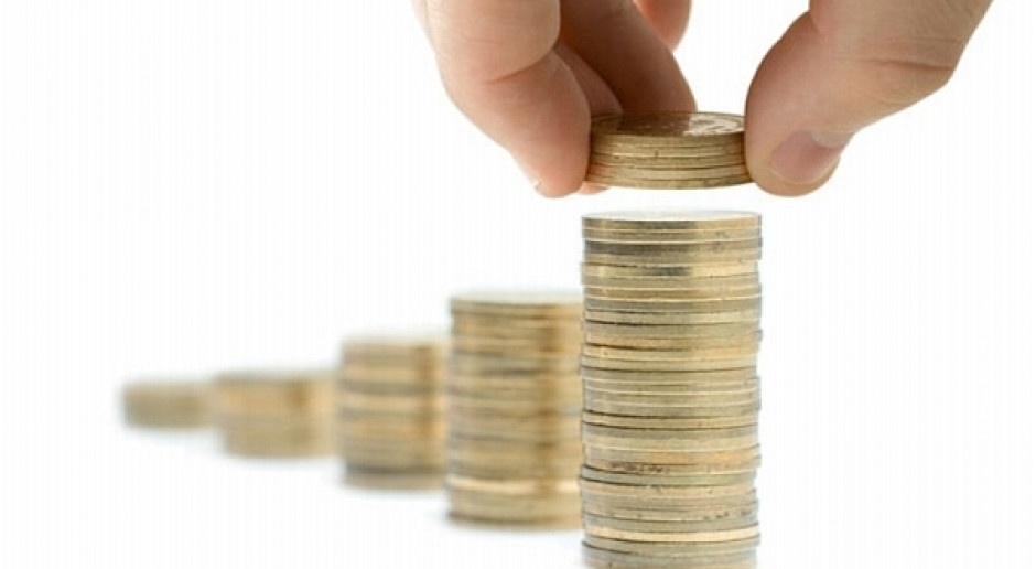 Płatność podstawowa – 173 euro