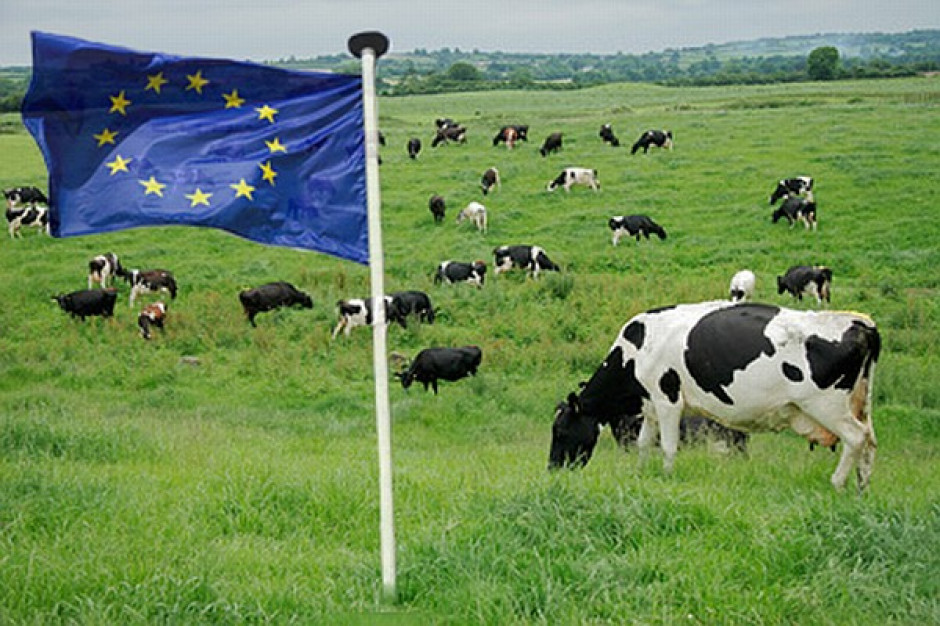 Mocne strony polskiego rolnictwa w projekcie planu strategicznego nieco różnią się od rzeczywistości. Fot. Europa.eu/farmer.pl