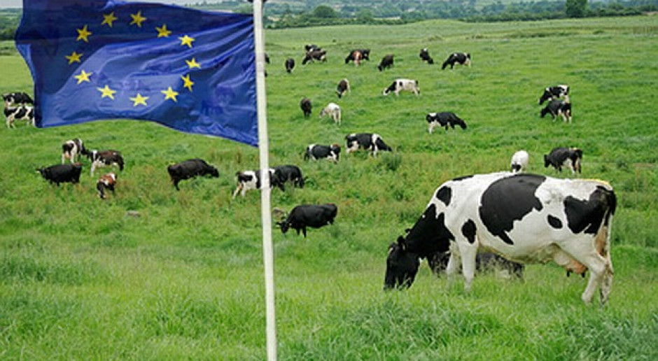 Nowa koncepcja zazielenienia