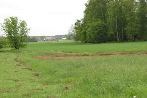 Sprzedaż ziemi wyłączonej z dzierżaw w 2013 r.