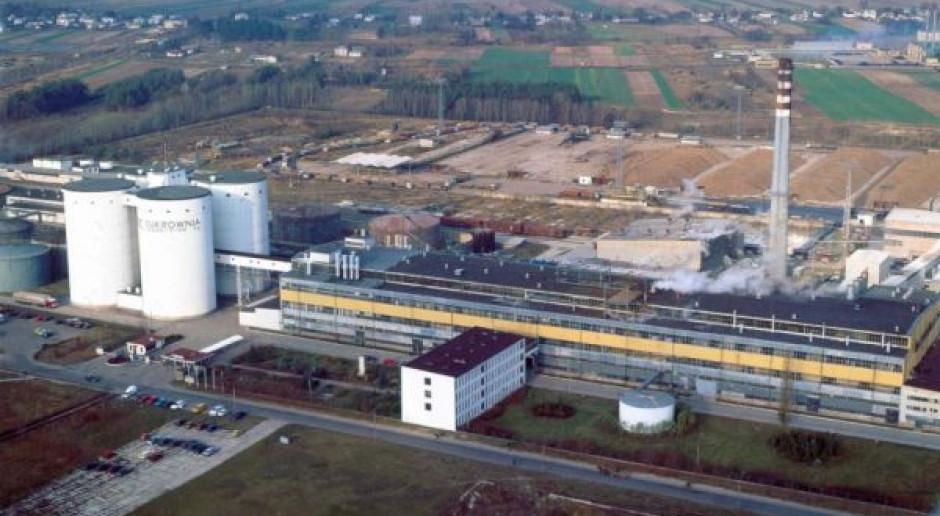 Plantatorzy: Polski Cukier tylko dla rolników i pracowników
