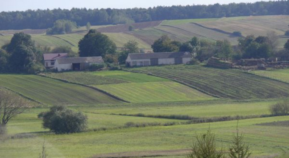 Analitycy: Ceny ziemi rolnej biją rekordy