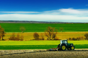 Polskie rolnictwo walczy o konkurencyjność w Europie