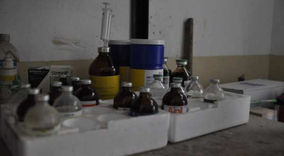 Zmniejszyli wykorzystanie antybiotyków