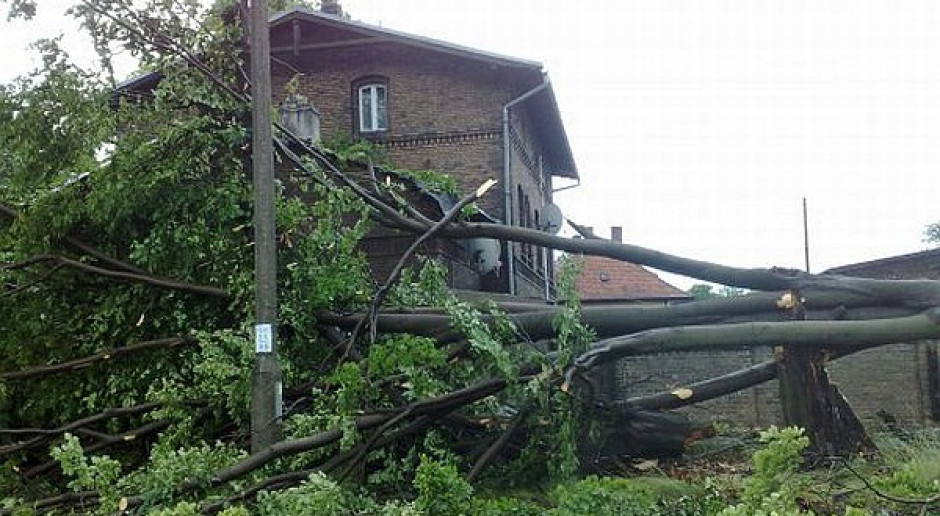 Powalone drzewa, uszkodzone dachy