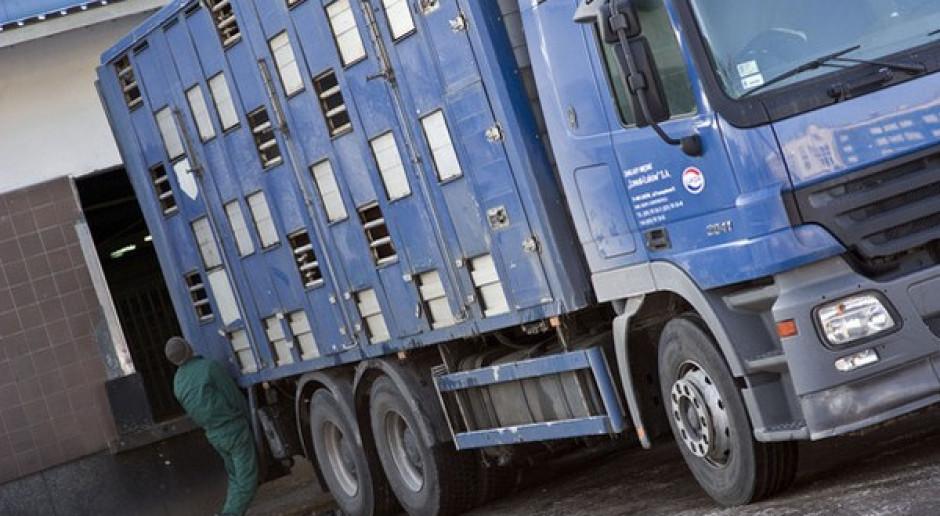 Wniosek o wprowadzenie czasowego limitu transportu zwierząt