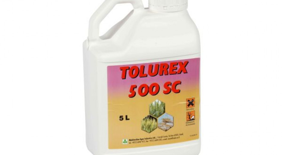 Uniwersalny herbicyd do zwalczania chwastów w zbożach ozimych: Tolurex 500 SC