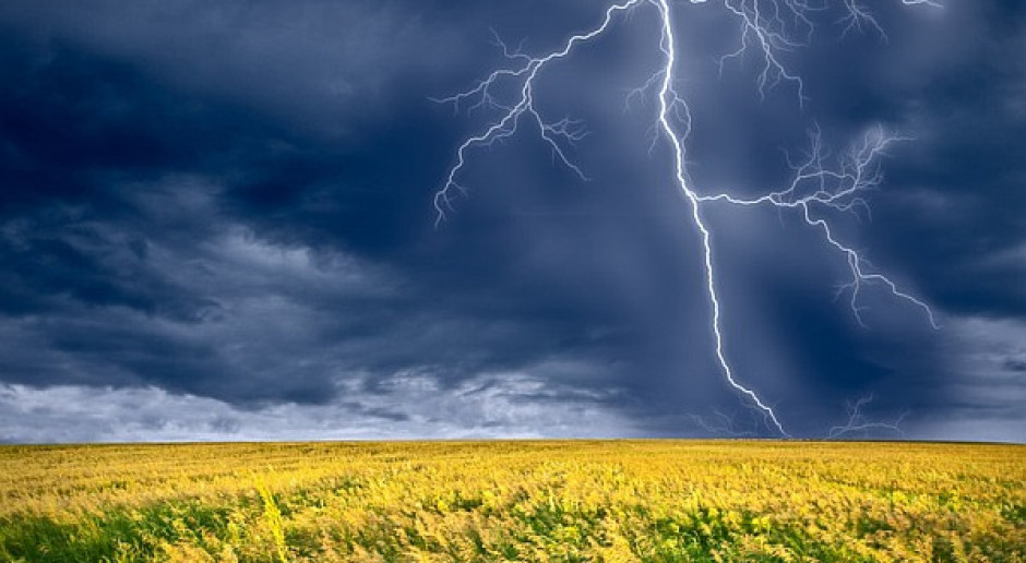 El Nino może znowu "namieszać" w globalnym rolnictwie