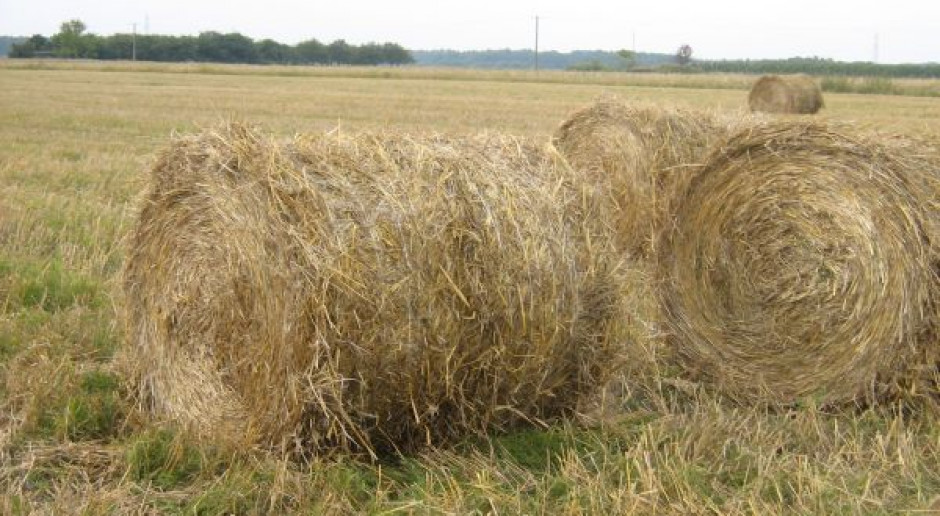 Rozwój produkcji biogranulatów