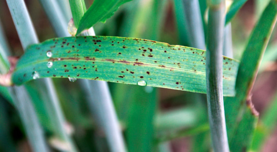 Biopestycydy nadzieją przyszłości