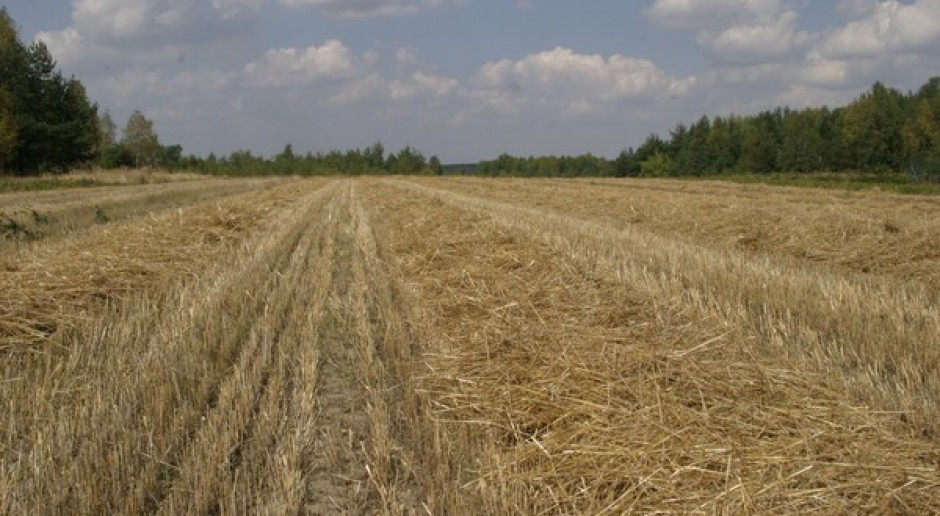 Ziemia do dzierżawy, a nie na sprzedaż