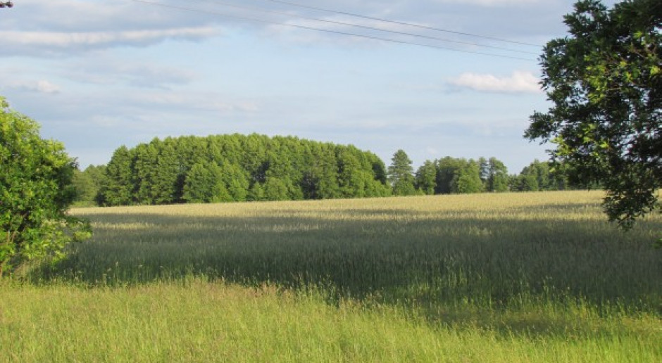 Dzierżawiłeś – zapomnij o tej ziemi