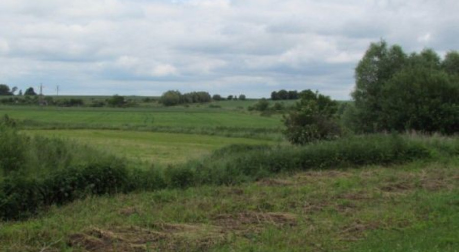 Dzierżawcy chcą oddać ok. 79 tys. ha