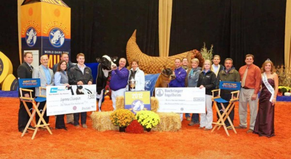 Najlepsze krowy na World Dairy Expo