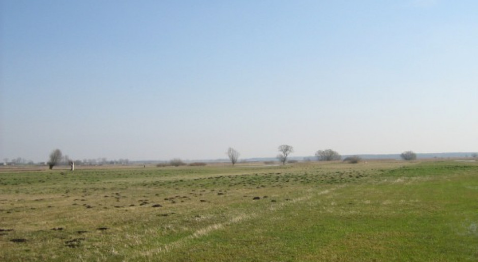 Czas na wapnowanie użytków zielonych
