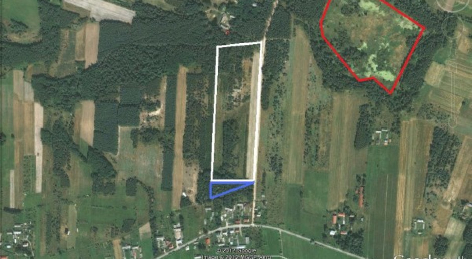 Kurniki nie śmierdzą