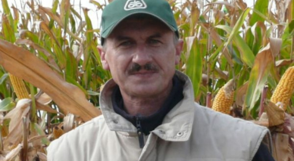 Jeszcze zostało 15-20 proc. plantacji kukurydzianych