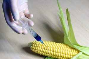 GMO wymaga oznakowania 