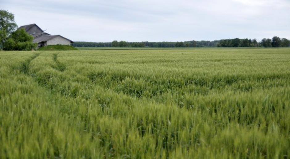 Ekwiwalenty zazielenienia
